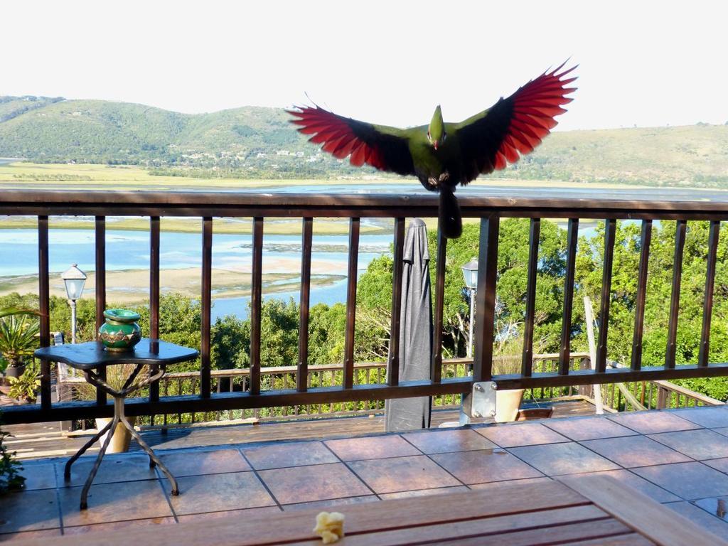 Knysnaviews Guest House 部屋 写真